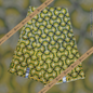 Tissu Pagne Africain Brillant 6 Yards